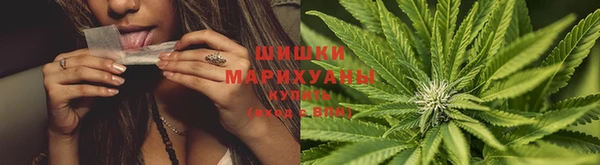 кокаин Новозыбков