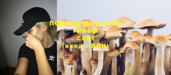 молекула духа Новодвинск
