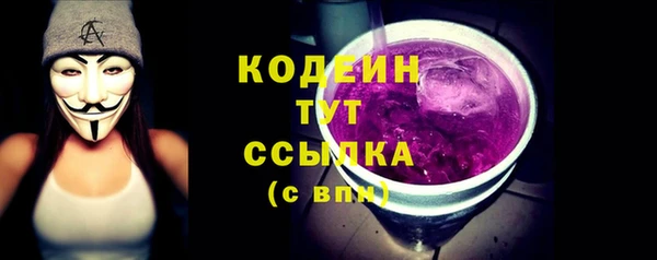 молекула духа Новодвинск