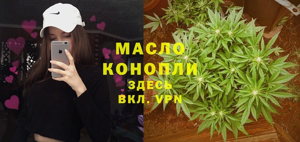 молекула духа Новодвинск