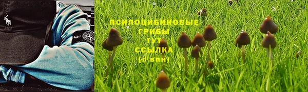 молекула духа Новодвинск