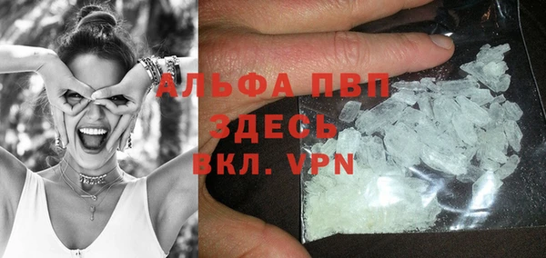 молекула духа Новодвинск