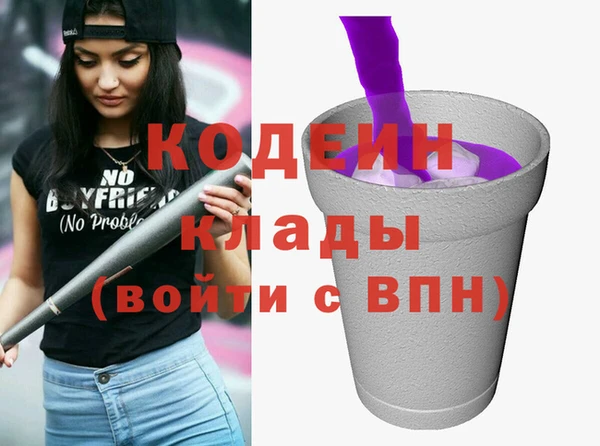 молекула духа Новодвинск