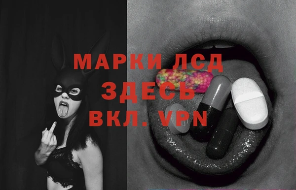 молекула духа Новодвинск