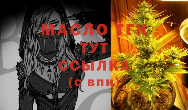 молекула духа Новодвинск