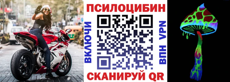Псилоцибиновые грибы MAGIC MUSHROOMS Электрогорск